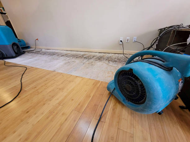 Professional Basement Flood Cleanup technician working in Tripoli, WI